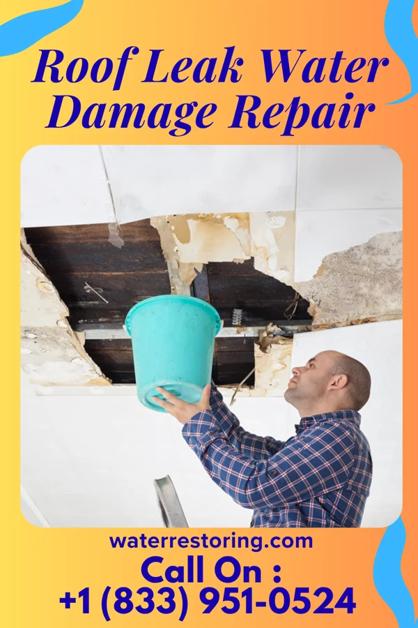 Roof Leak Water Damage Repair in Harpster, OH