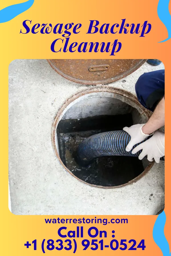 Sewage Backup Cleanup in Harpster, OH