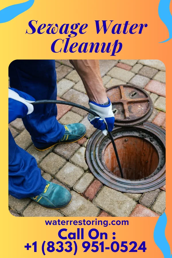 Sewage Water Cleanup in Harpster, OH