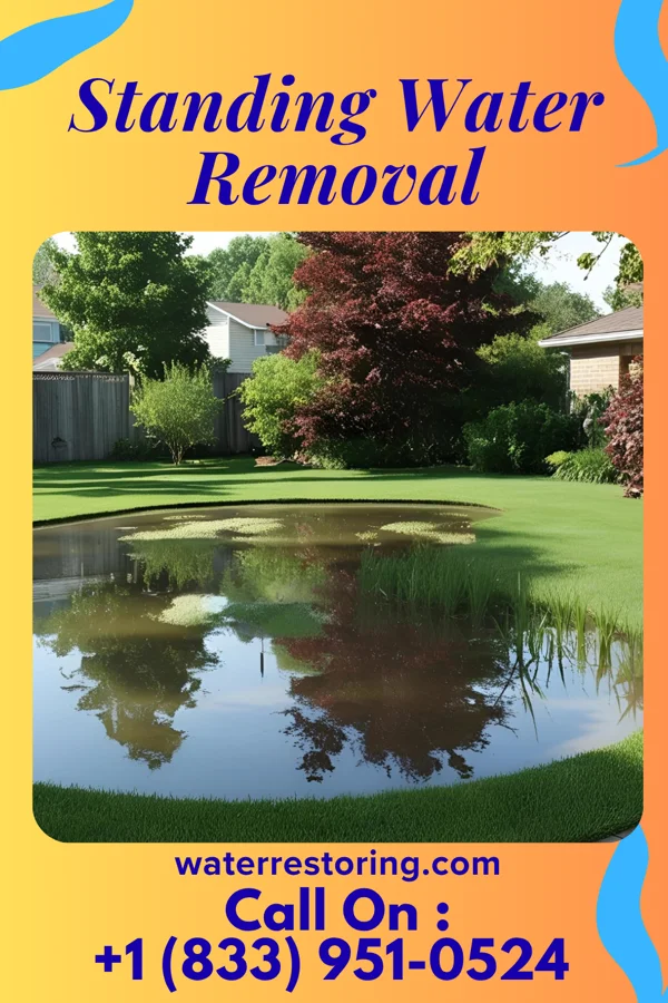 Standing Water Removal in Harpster, OH